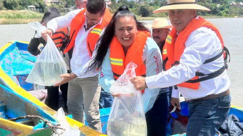 Gobierno de Michoacán siembra 15 mil crías de pescado blanco en el lago de Pátzcuaro 