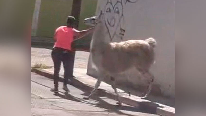 Investigan autoridades aparición de llama en zona Centro de San Juan del Río, Querétaro  