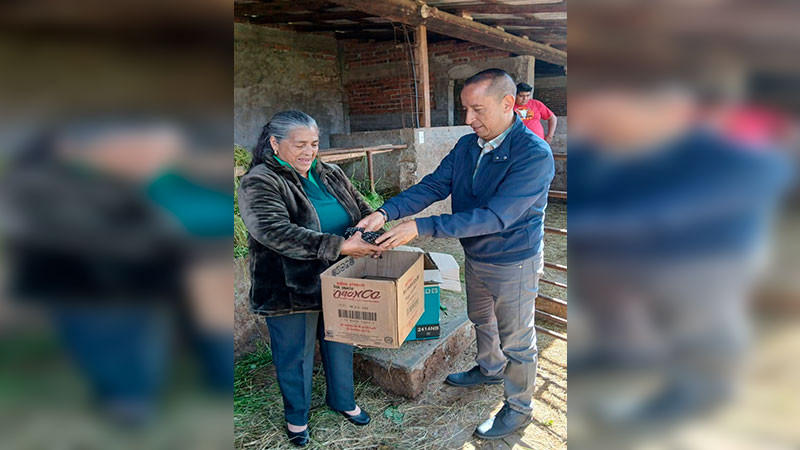 Impulsa Conejo Alejos economía familiar con entrega de pollitas para huertos de traspatio 