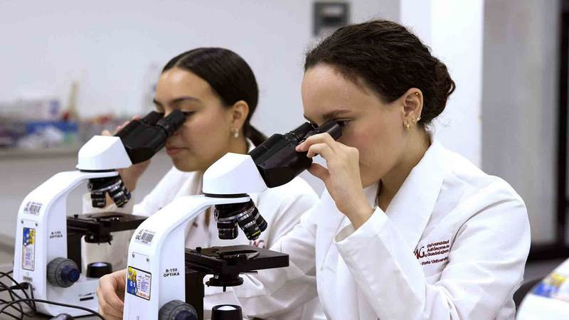 Investigaciones de la UAG impulsa soluciones innovadoras a retos sociales 