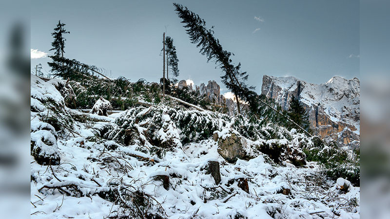 Lluvias intensas dejaron como saldo al menos 56 personas fallecidas y 80 desaparecidas en Cachemira, India 