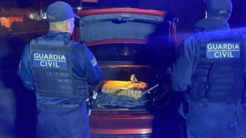 En Quiroga, Michoacán detienen a tres en posesión de casi 10 kilos de un estupefaciente vegetal 
