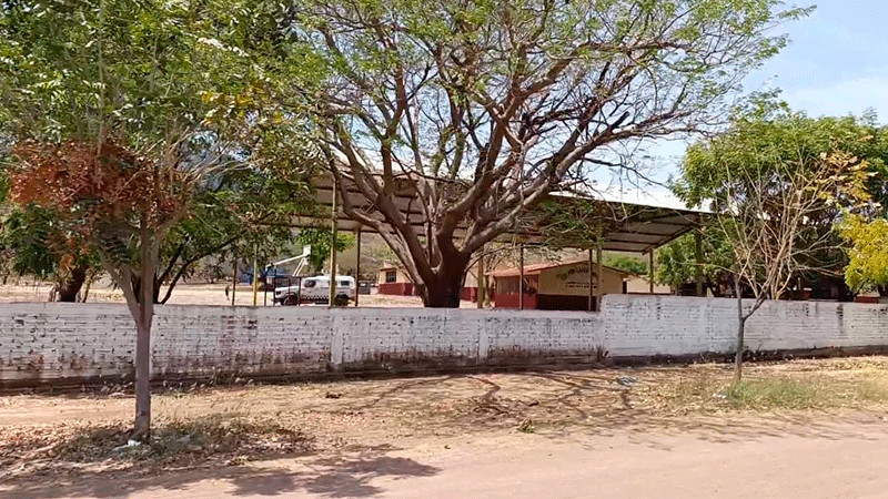 Apatzingán: Ante la violencia, evalúan medidas de seguridad para el regreso a clases 