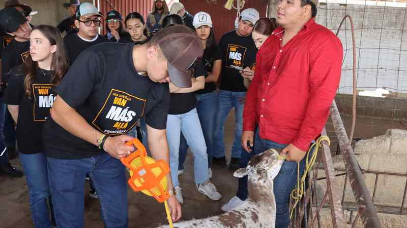 Conviértete en un Ingeniero Empresarial Agropecuario de Impacto en la UAG 