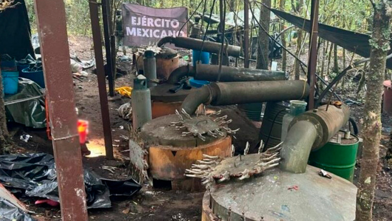 Desmantelan laboratorio clandestino en Michoacán; golpe al crimen es de mil 200 mdp 