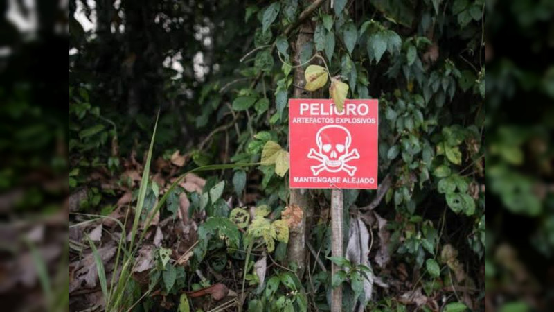 Reses caen en campo de minas en la Tierra Caliente de Michoacán: Explosiones matan a 13 animales 