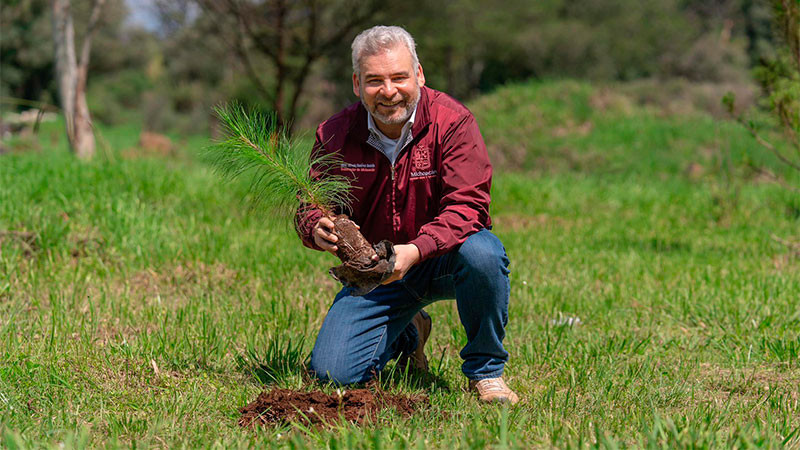 Con 8.2 millones de árboles plantados, reforestación registra 86% de avance: Bedolla 