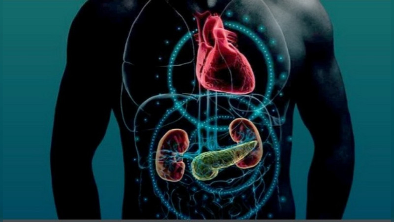 Síndrome cardiovascular-reno-metabólico, enemigo silencioso de los mexicanos 