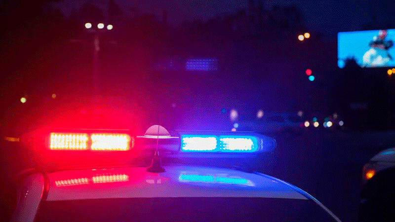 Violencia en Guanajuato; Se registraron nueve asesinatos en un solo día en el municipio 