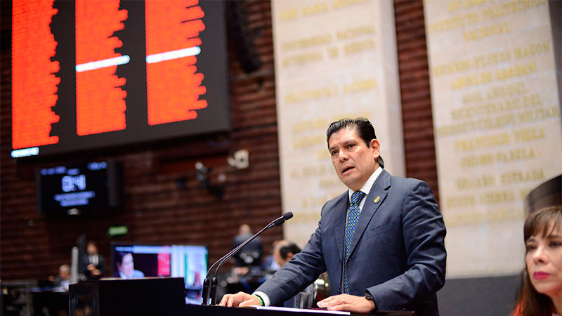 Medio ambiente, seguridad, atención social y reforma electoral, prioridades del PVEM en plenaria 