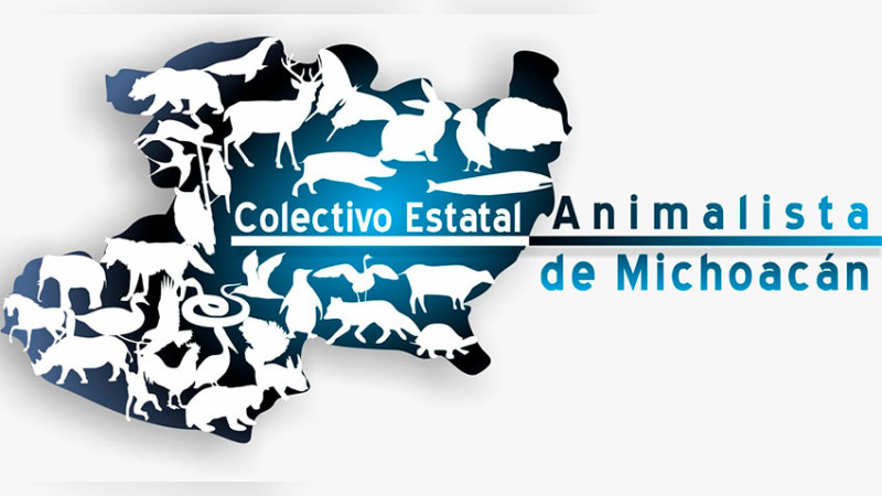 Medio centenar de organizaciones delinearán la agenda de protección animal en primer foro estatal 