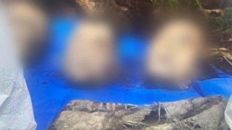 Hallan restos humanos en Jiménez, Michoacán; vecinos reportaban olor nauseabundo en el lugar
