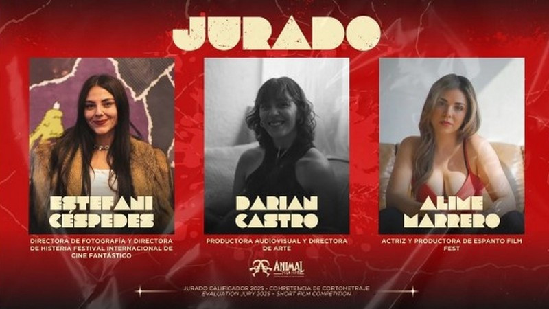 Dan a conocer jurado calificador del Animal Fest en Morelia 