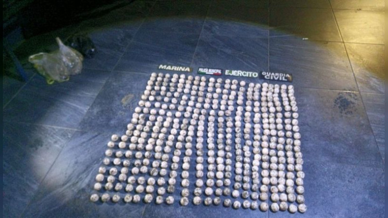 Aseguran en Lázaro Cárdenas, Michoacán, más de 400 huevos de tortuga 