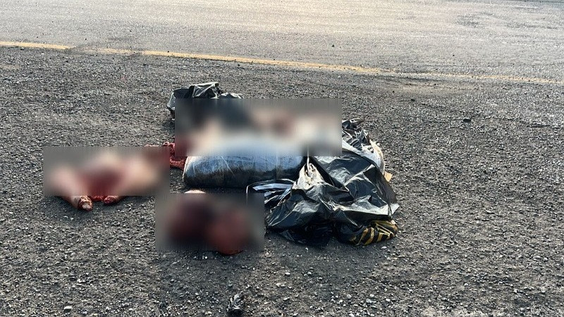 Abandonan restos humanos en carretera de Veracruz