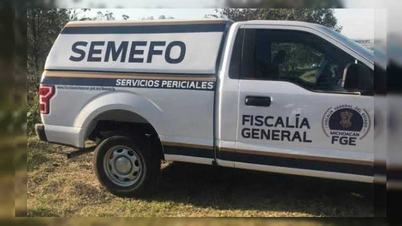 Hombre pierde la vida al caer del árbol que podaba en Puruándiro, Michoacán  