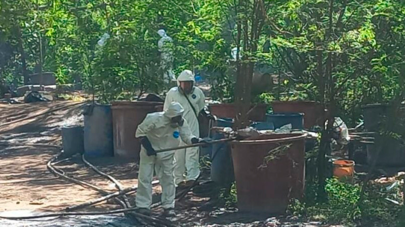 Golpe multimillonario al crimen: aseguran 21 toneladas de estupefacientes y destruyen laboratorios clandestinos en Durango 
