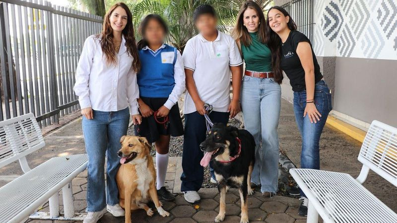 Jóvenes del DIF Municipal entrenarán a perros rescatados en innovador proyecto del municipio de Querétaro 