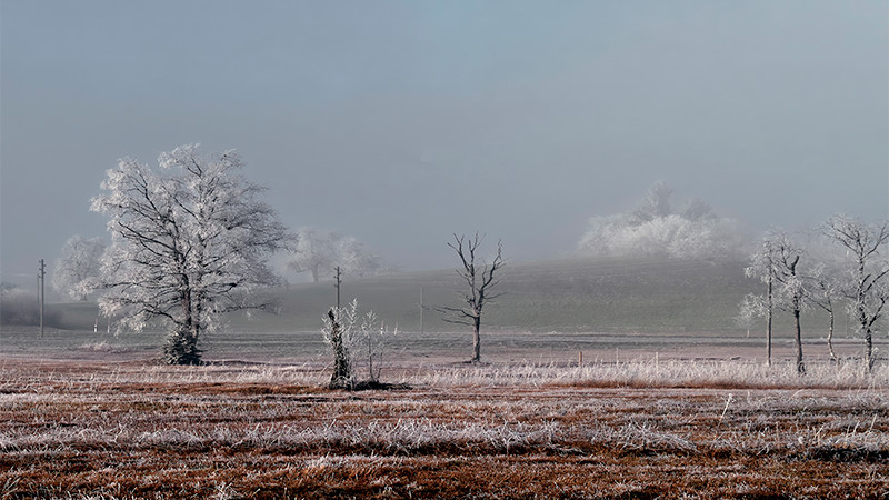Europa frente al frío: millones temen un invierno de carencias y desamparo 