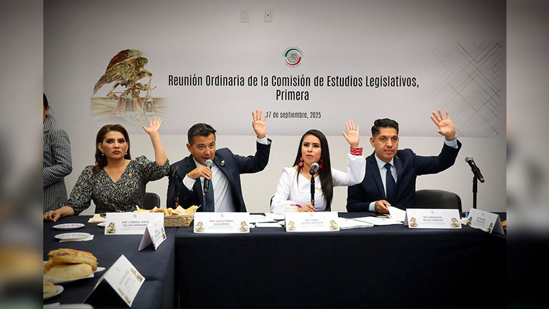 Aprueban Comisiones iniciativa de Raúl Morón para modernizar y  volver inclusivas bibliotecas públicas de México 