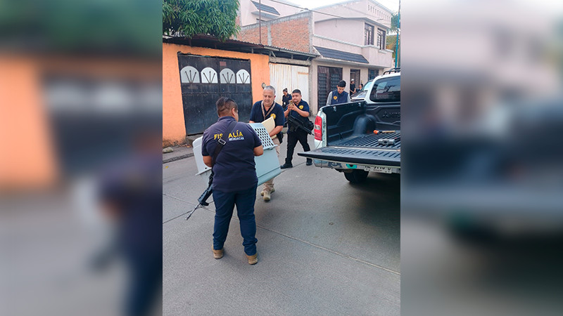 Rescatan a dos perros víctimas de maltrato durante cateo en Morelia 