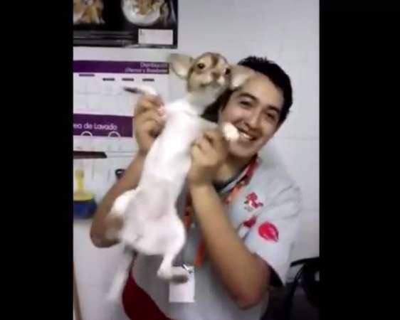 Video: Exhiben maltrato y crueldad animal en tienda MasKota, en Pachuca, Hidalgo 