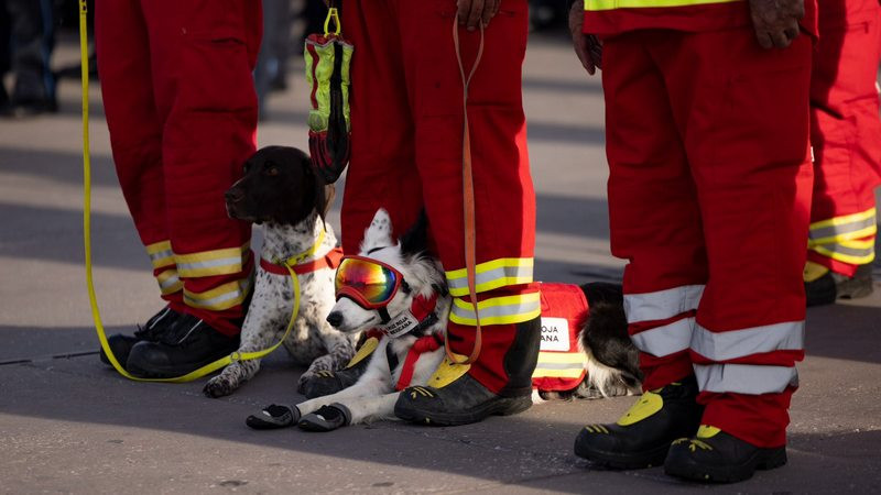 Millones de personas participan en el Segundo Simulacro Nacional 2025 tras activarse Alerta Sísmica 