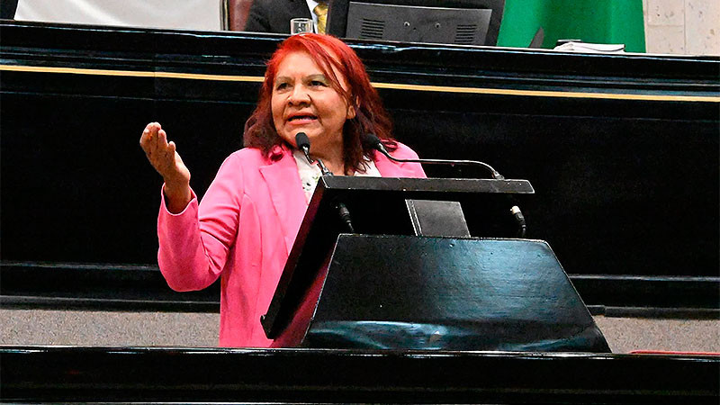 Asegura diputada de Morena que nave espacial llevará café veracruzano a Marte 