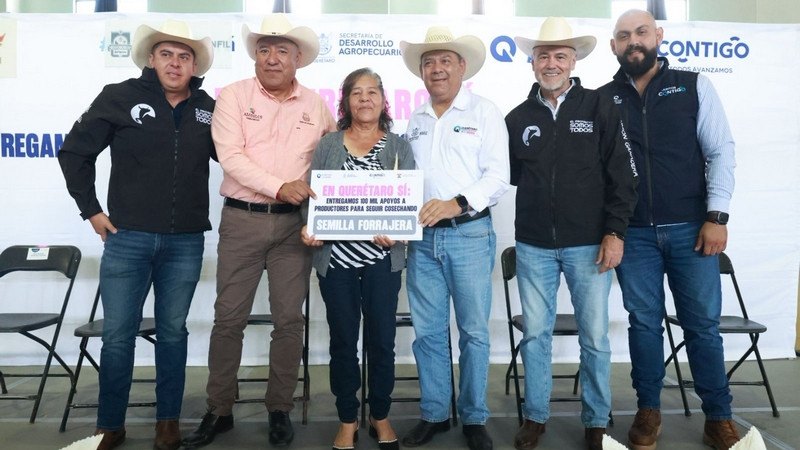 Impulsa SEDEA cultivos forrajeros en Amealco, Querétaro 
