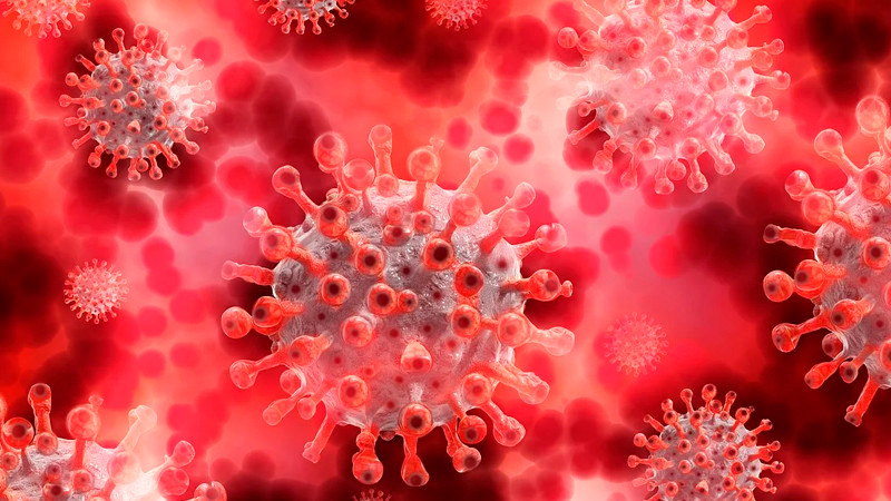 Contenidos brotes de sarampión en México, asegura Salud 