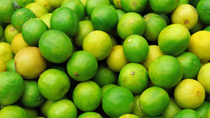 Alcaldesa de Apatzingán afirma que disminuyen extorsiones contra limoneros 