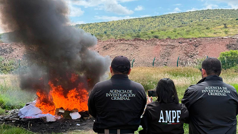 Incinera la FGR sustancias ilícitas aseguradas en Michoacán 