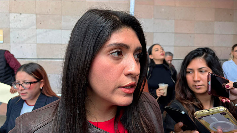 Alejandra Anguiano: 59% de mujeres michoacanas viajan con miedo en combis 