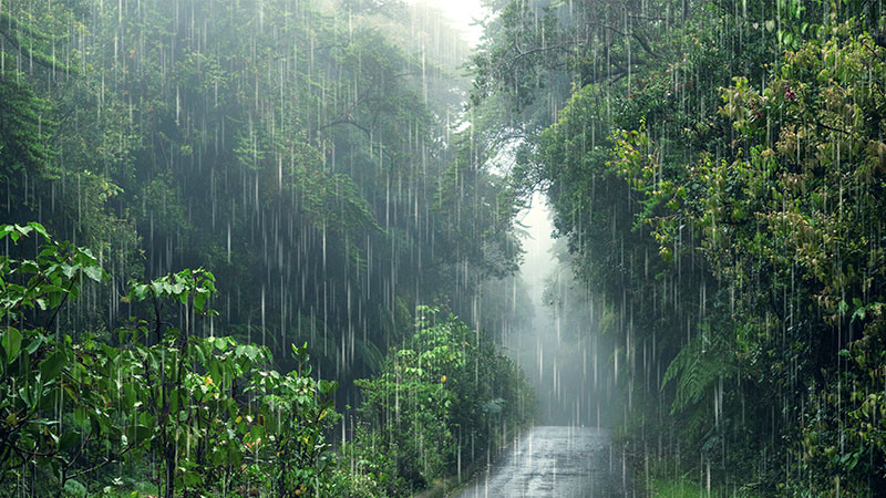Gobierno de Chiapas mantiene brigadas de apoyo a las 19 comunidades afectadas tras las fuertes lluvias; indican que más de 600 personas fueron damnificadas por el temporal 