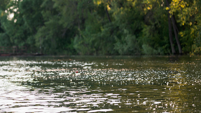 Reportan el hallazgo del cuerpo de un hombre sin vida flotando en el Río Pesquería en Nuevo León; autoridades trabajan para poder determinar la identidad del fallecido 