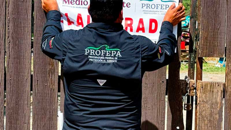 Profepa clausura temporalmente el zoológico La Pastora por maltrato a la osa Mina 