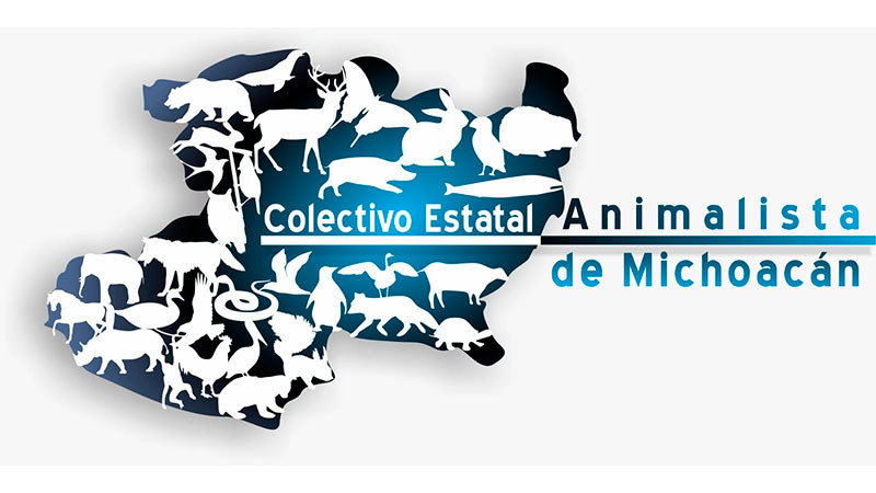 Tarímbaro y Puruándiro: epicentros de crueldad animal en Michoacán 