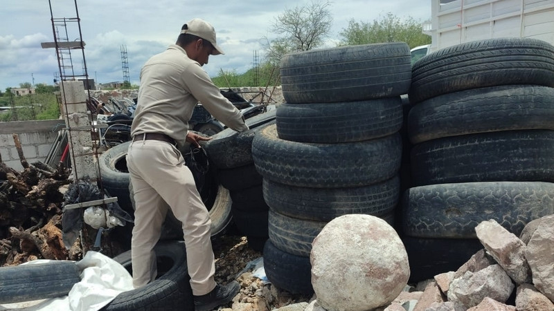 Realiza SESA vigilancia epidemiológica del dengue en Querétaro 