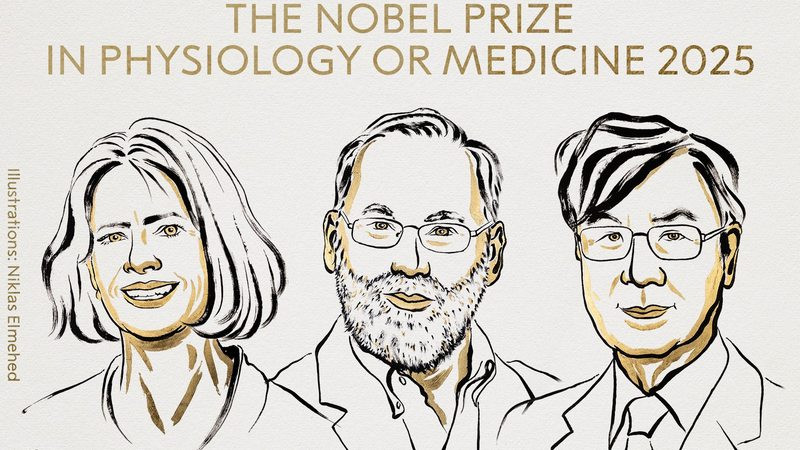 Premio Nobel de Medicina 2025 reconoce hallazgos sobre la tolerancia inmunológica 