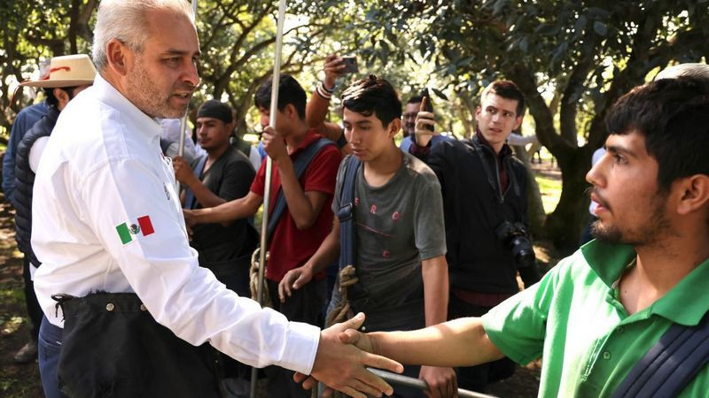 Con más de 3.8 millones de toneladas, Michoacán lidera producción nacional de aguacate, limón y berries 