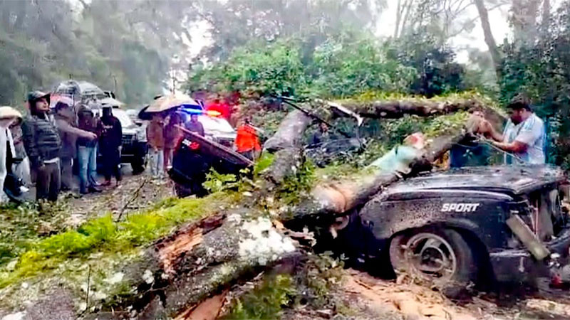 Fallece pareja al caer árbol sobre su vehículo en Acaxochitlán, Hidalgo; sus hijos están heridos 