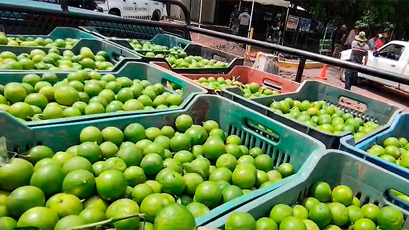 Afectados los productores de limón en Apatzingán por la caída de precios y la sobreproducción: Fanny Arreola  