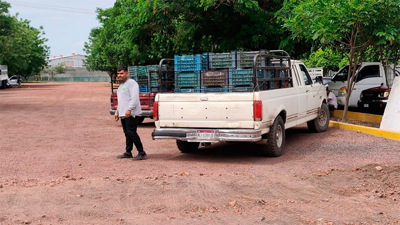Van limoneros michoacanos por paro nacional; exigirán mejores condiciones para el campo  