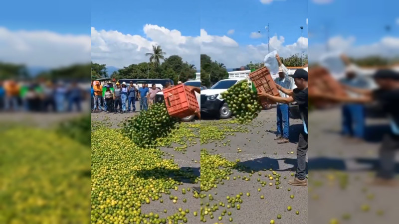 Productores de limón tiran cientos de kilos de fruta en calles de Apatzingán, Michoacán, en protesta por bajos precios 