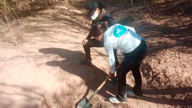 Autoridades confirman presencia de  60 cuerpos en costa de Hermosillo, Sonora 