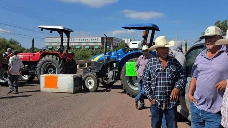 Productores agrícolas de 20 estados deciden paro de actividades 