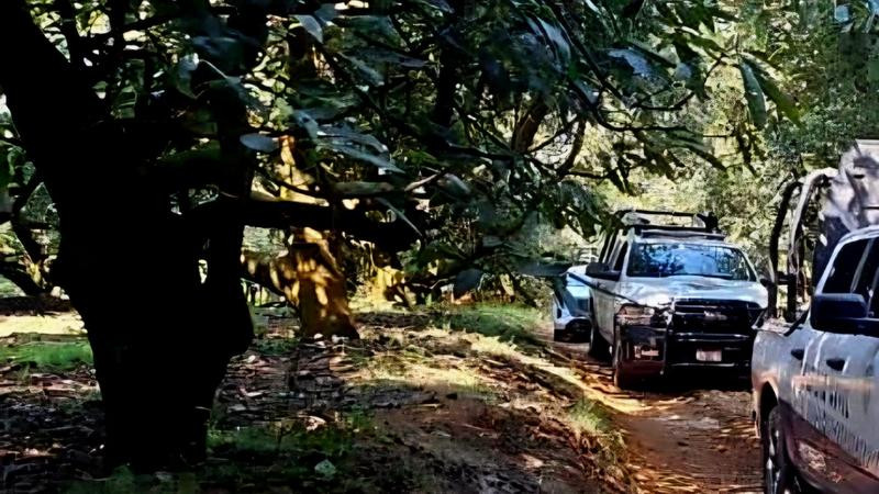 Encuentran a mujer sin extremidad cefálica en una huerta de aguacate en Uruapan 