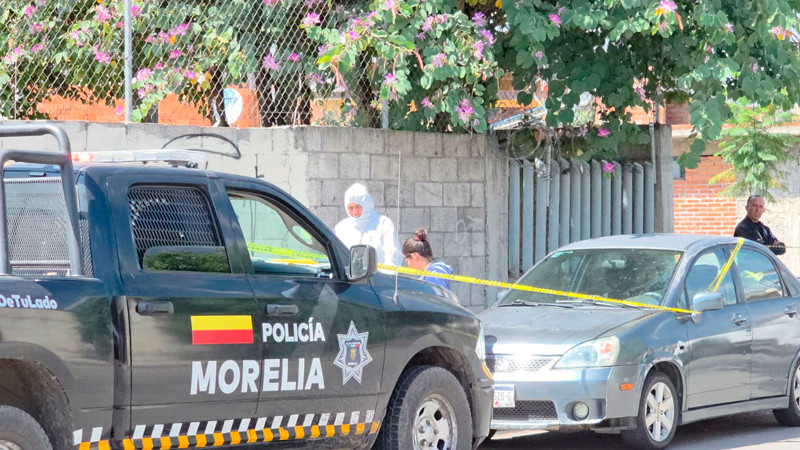 Abandonan cuerpos de cinco cachorritos dentro de bolsa en la Primo Tapia de Morelia, Michoacán 