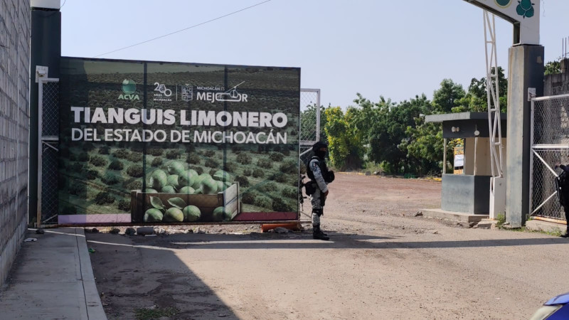 Torres Piña niega fracaso en la coordinación con el tianguis limonero en Michoacán; trazabilidad debe continuar 