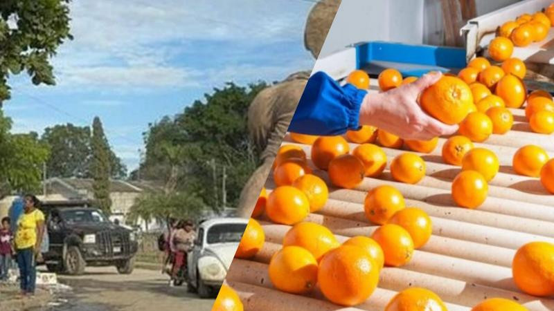 Ultiman a empresario cítricola en Álamo Temapache, Veracruz; es el segundo en una semana tras asesinato de Bernardo Bravo 